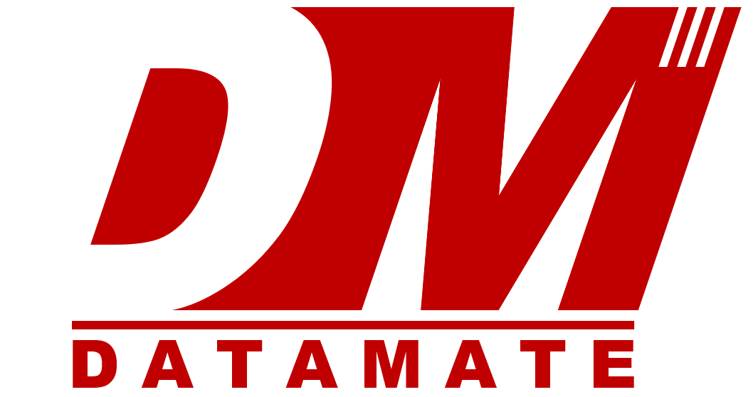Datamate Logo (Transparent)